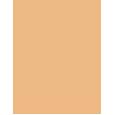 Essence Skin Tint  Spf30    30Ml Per Donna (Makeup) Hydrating Natural Finish