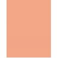 Max Factor Facefinity  Spf20    30Ml Per Donna (Makeup) All Day Flawless