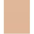 Mac Studio Fix Every-Wear All-Over Face Pen 12Ml  Per Donna  (Makeup)  NC25