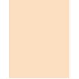 Guerlain Parure Gold Skin Matte 35Ml  Per Donna  (Makeup) SPF15 1W Warm