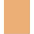 Erborian Super Bb Covering Care-Cream 40Ml  Per Donna  (Bb Cream) SPF20 Doré