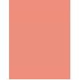 Benefit Shellie Blush 2,5G  Per Donna  (Blush)  Warm Seashell-Pink