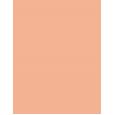 Revlon Colorstay Normal Dry Skin  30Ml 200 Nude  Spf20 Per Donna (Makeup)
