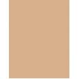 Artdeco Pure Minerals Mineral Powder Foundation  15G 6 Honey   Per Donna (Makeup)