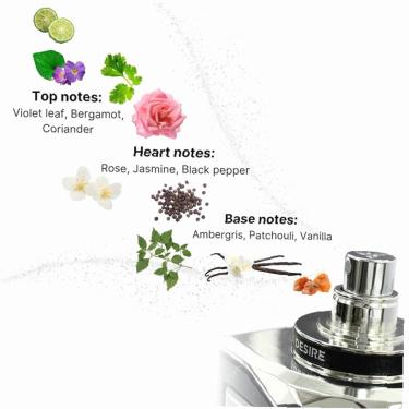 Auraa Desire Tocco Marrone 100Ml (Perfume Extract) Unisex Auraa Desire Tocco Marrone 100Ml (Perfume Extract) Unisex