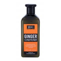 Xpel Ginger   400Ml    Per Donna (Condizionatore)