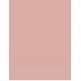 Rimmel London Stay Matte   14G 002 Pink Blossom   Per Donna (Polvere)