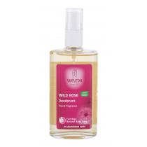 Weleda Wild Rose   100Ml    Per Donna (Deodorante)
