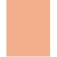 Clarins Everlasting Youth Fluid   30Ml 107 Beige  Spf15 Per Donna (Makeup)