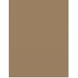 Shiseido Brow Inktrio   0,31G 02 Taupe   Per Donna (Matita Per Gli Occhi)