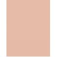 Clinique Beyond Perfecting Powder Foundation + Concealer  14,5G 0.5 Brezee   Per Donna (Makeup)