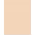 Revlon Colorstay Combination Oily Skin  30Ml 110 Ivory  Spf15 Per Donna (Makeup)
