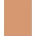 Erborian Bb Creme Makeup-Care Face Cream 40Ml  Per Donna  (Bb Cream) SPF20 Doré