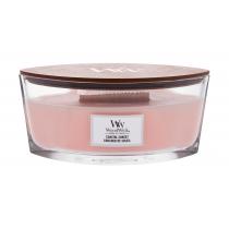 Woodwick Coastal Sunset   453,6G    Unisex (Candela Profumata)