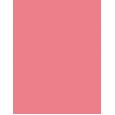 Clinique Blushing Blush   6G 110 Precious Posy   Per Donna (Blush)