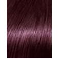 L'Oréal Paris Casting Creme Gloss  48Ml 316 Plum(Colore Dei Capelli)