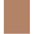 Shiseido Synchro Skin Self-Refreshing  5,8Ml 302 Medium   Per Donna (Correttore)
