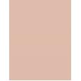 Dermacol 24H Long-Lasting Powder And Foundation  9G 02   Per Donna (Makeup)