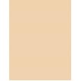 Artdeco Camouflage Cream 4,5G 15 Summer Apricot Per Donna (Correttore) Artdeco Camouflage Cream 4,5G 15 Summer Apricot Per Donna (Correttore)