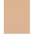 Bourjois Paris 123 Perfect   30Ml 55 Dark Beige   Per Donna (Makeup)