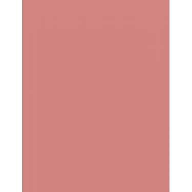 Artdeco Hydra Lip Booster  6Ml 15 Translucent Salmon   Per Donna (Lucidalabbra)