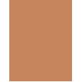 Estée Lauder Futurist Hydra Rescue  35Ml 5W1 Bronze  Spf45 Per Donna (Makeup)