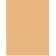 Estée Lauder Double Wear Stay In Place  30Ml 2C3 Fresco  Spf10 Per Donna (Makeup)
