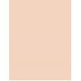 Benefit Dandelion Twinkle 3G  Per Donna  (Brightener)  Soft Nude-Pink