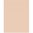 Bourjois Paris Always Fabulous 24H  30Ml 105 Natural Ivory  Spf20 Per Donna (Makeup)