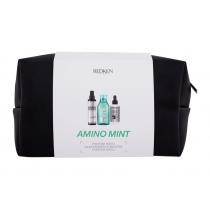 Redken Amino-Mint   Amino-Mint Shampoo 300 Ml + Hair Spray Brews Instant Thickening Spray 125 Ml + Hair Care Thickening Treatment 90 Ml + Cosmetic Bag Hair Serum 2120000101 300Ml W (Shampoo) Shampoo