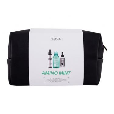Redken Amino-Mint   Amino-Mint Shampoo 300 Ml + Hair Spray Brews Instant Thickening Spray 125 Ml + Hair Care Thickening Treatment 90 Ml + Cosmetic Bag Hair Serum 2120000101 300Ml W (Shampoo) Shampoo