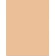 Artdeco Pure Minerals Mineral Powder Foundation  15G 6 Honey   Per Donna (Makeup)