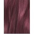 L'Oréal Paris Préférence Vivid Colors  60Ml 5,260 Violet   Per Donna (Tinta Per Capelli)