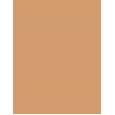 Clinique Beyond Perfecting Powder Foundation + Concealer  14,5G 14 Vanilla   Per Donna (Makeup)