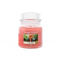 Yankee Candle The Last Paradise   411G    Unisex (Candela Profumata)