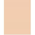 Catrice Camouflage Liquid High Coverage  5Ml 005 Light Natural  12H Per Donna (Correttore)