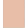Estée Lauder Double Wear Sheer Long-Wear Makeup  30Ml 2C2 Pale Almond  Spf20 Per Donna (Makeup)