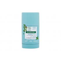 Klorane Aquatic Mint Stick Mask  25G    Per Donna (Mascherina)