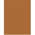 Dermacol Make-Up Cover Spf30  30G 228   Per Donna (Makeup)