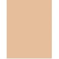 Bourjois Paris Always Fabulous 24H  30Ml 120 Light Ivory  Spf20 Per Donna (Makeup)