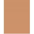 Clinique Even Better Spf15  30Ml 17 Nutty   Per Donna (Makeup)