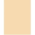 Shiseido Revitalessence  Spf30    30Ml Per Donna (Makeup) Skin Glow Foundation
