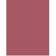 Essence The Slim Stick      1,7G Per Donna (Lipstick)