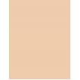 Shiseido Synchro Skin Self-Refreshing  5,8Ml 102 Fair   Per Donna (Correttore)