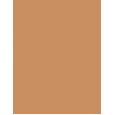 Clinique Moisture Surge  Spf25    40Ml Per Donna (Bb Cream) Sheertint Hydrator