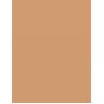 Clinique Beyond Perfecting      14,5G Per Donna (Makeup) Powder Foundation + Concealer