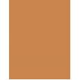 Erborian Bb Creme Makeup-Care Face Cream 15Ml  Per Donna  (Bb Cream) SPF20 Caramel