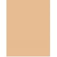 Shiseido Synchro Skin      5,8Ml Per Donna (Corrector) Self-Refreshing