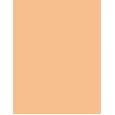 Estée Lauder Double Wear Stay In Place  30Ml 2W1 Dawn  Spf10 Per Donna (Makeup)