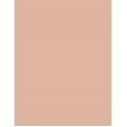 Bourjois Paris Always Fabulous 24H  30Ml 300 Rose Sand  Spf20 Per Donna (Makeup)